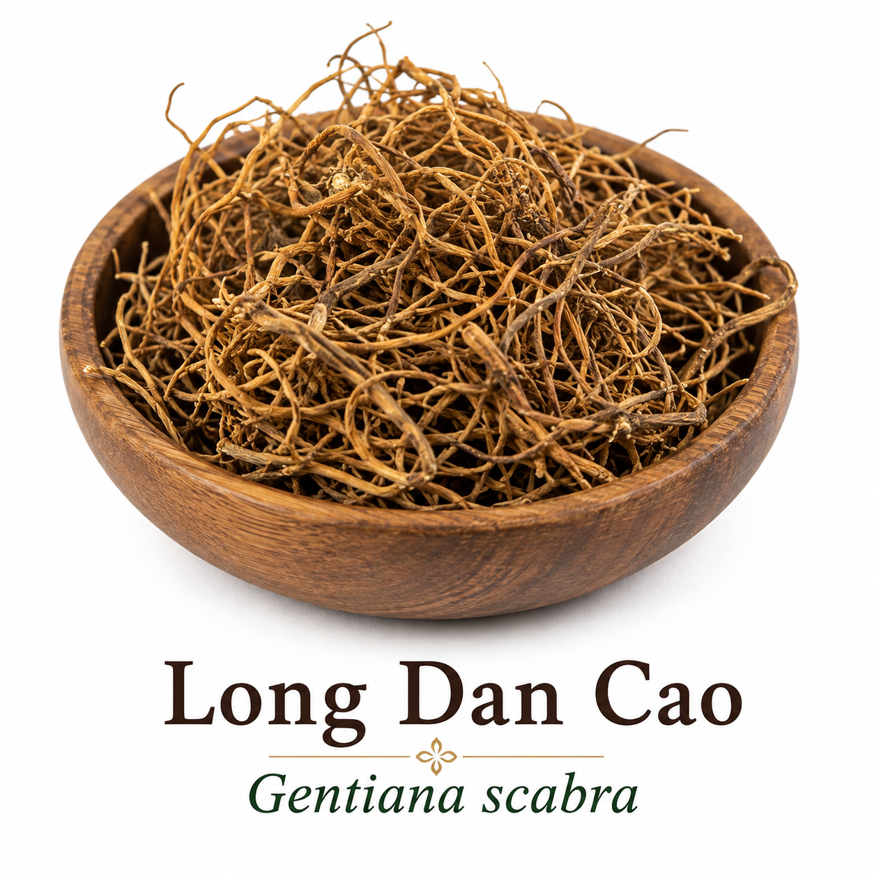 Premium Long Dan Cao (Gentiana scabra), also known as Chinese Gentian Root, displayed in an elegant wooden bowl on a clean white background. The dried herb features its naturally thin, twisted, fibrous roots with the botanical name shown beneath the bowl, making it ideal for educational and product pages about traditional Chinese herbs.