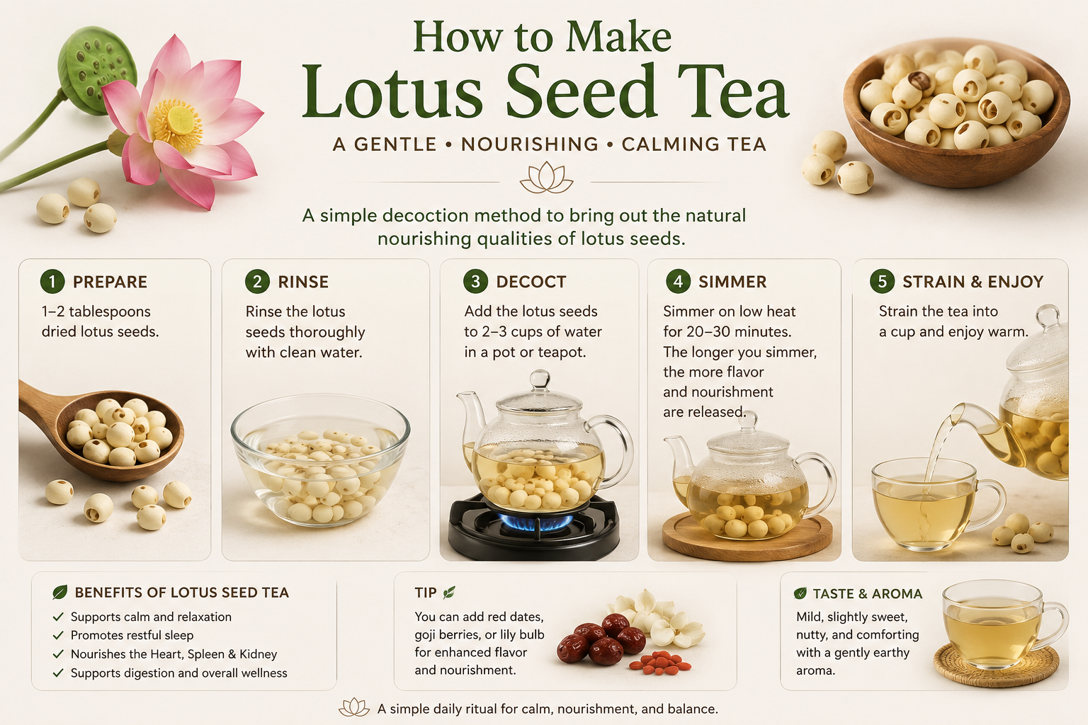 Illustration of how to brew lous seed tea for the most benefits