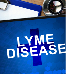 lyme disease