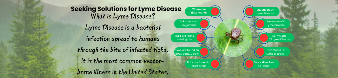 Lyme Disease, What is Lyme Disease, buhners Protocol for Lyme Disease,  what herbs to use for lyme disease, what are the symptoms of lyme disease, who can get lyme disease.