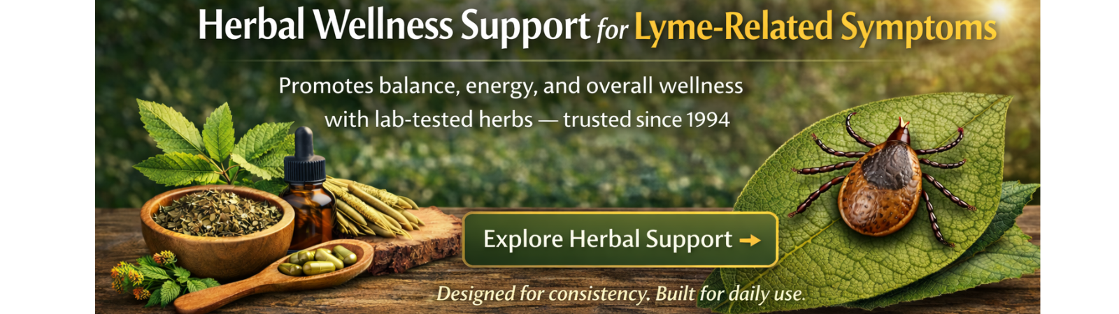Herbal wellness support for fatigue, joint discomfort, and immune health using lab-tested Chinese herbs