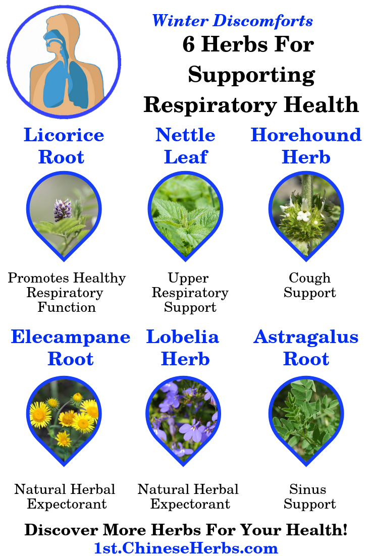 Herbs for respiratory health