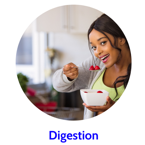Digestion