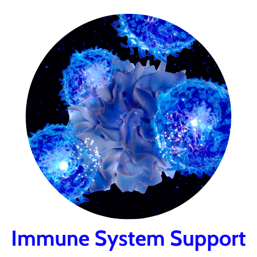 immune system