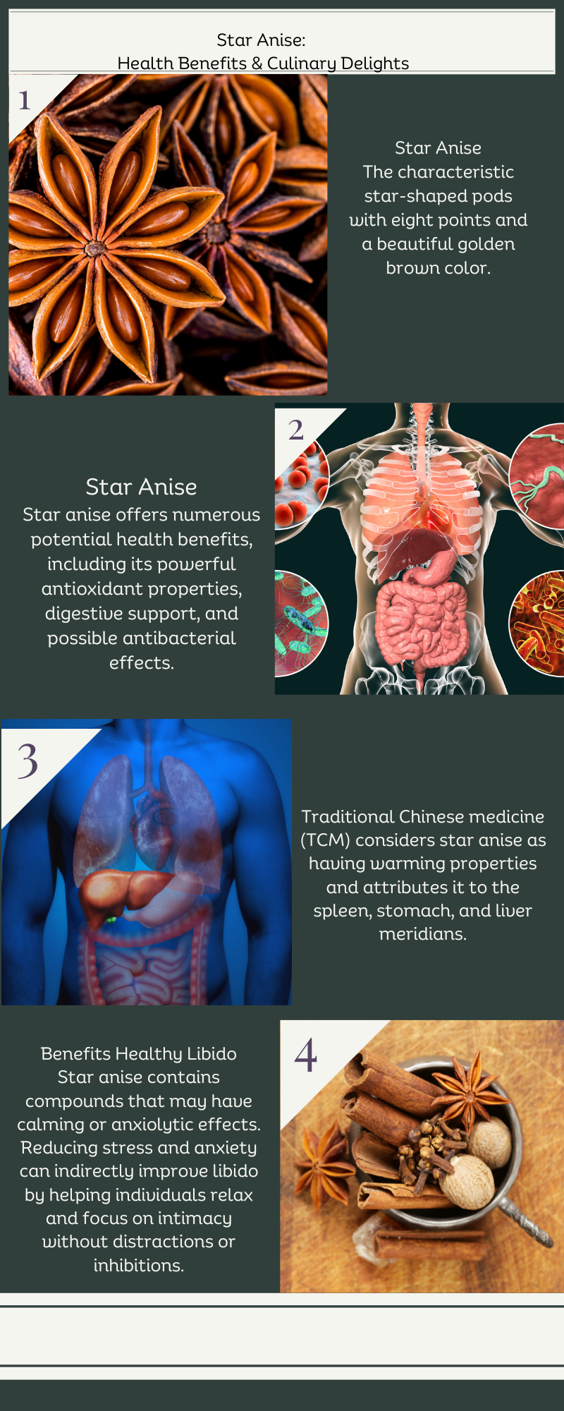 how to use star anise, health benefits of Illicium verum; Fructus, 