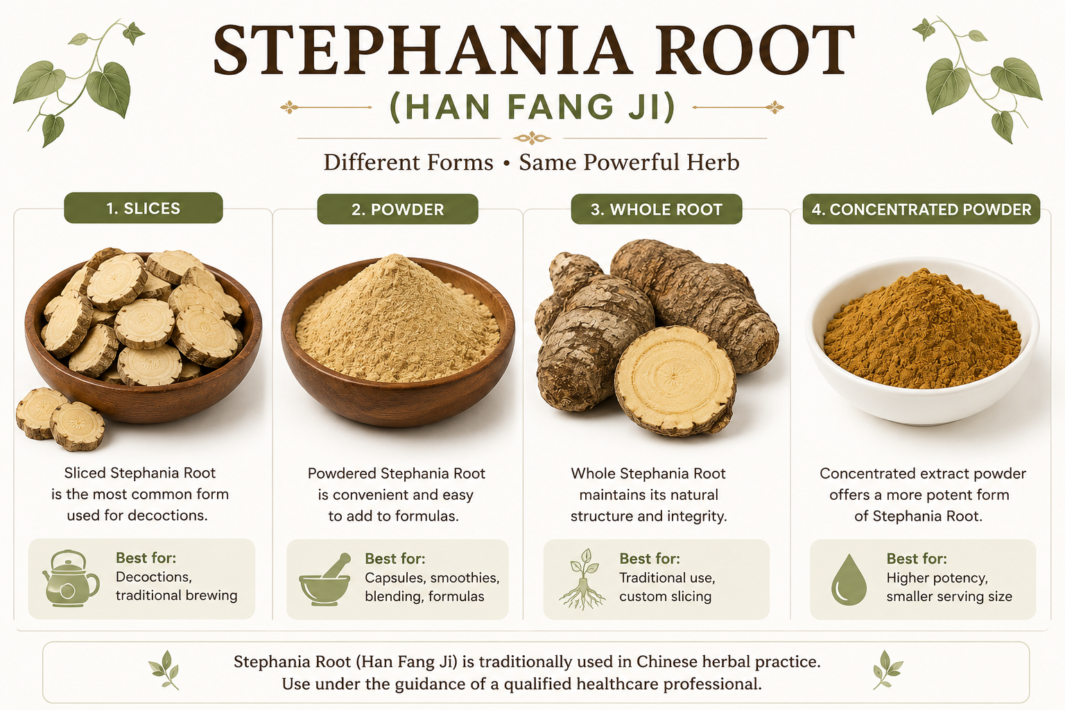 Infographic of what Stephania root looks like in 4 different forms