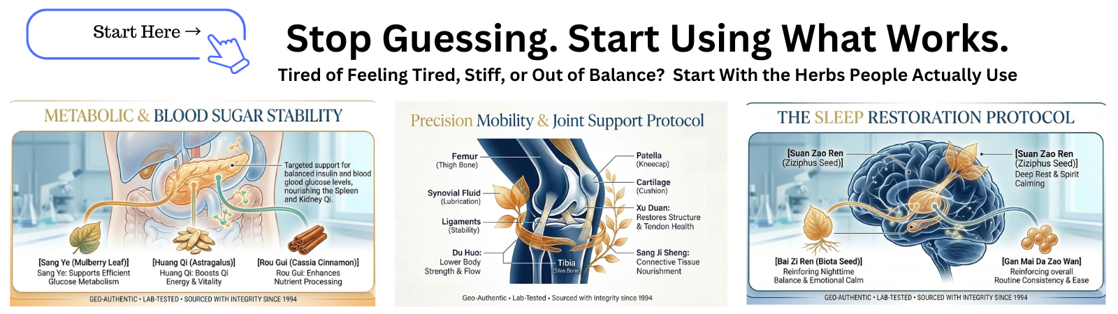 Discover lab-tested herbal solutions for sleep, joint pain, and blood sugar support. Trusted since 1994 for quality, consistency, and real results.