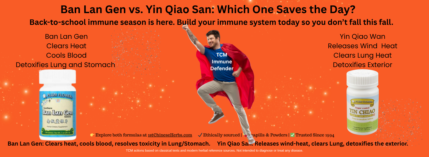 Ban Lan Gen vs. Yin Qiao San: Which One Saves the Day?