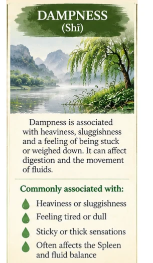Dampness is associated with sluggishness