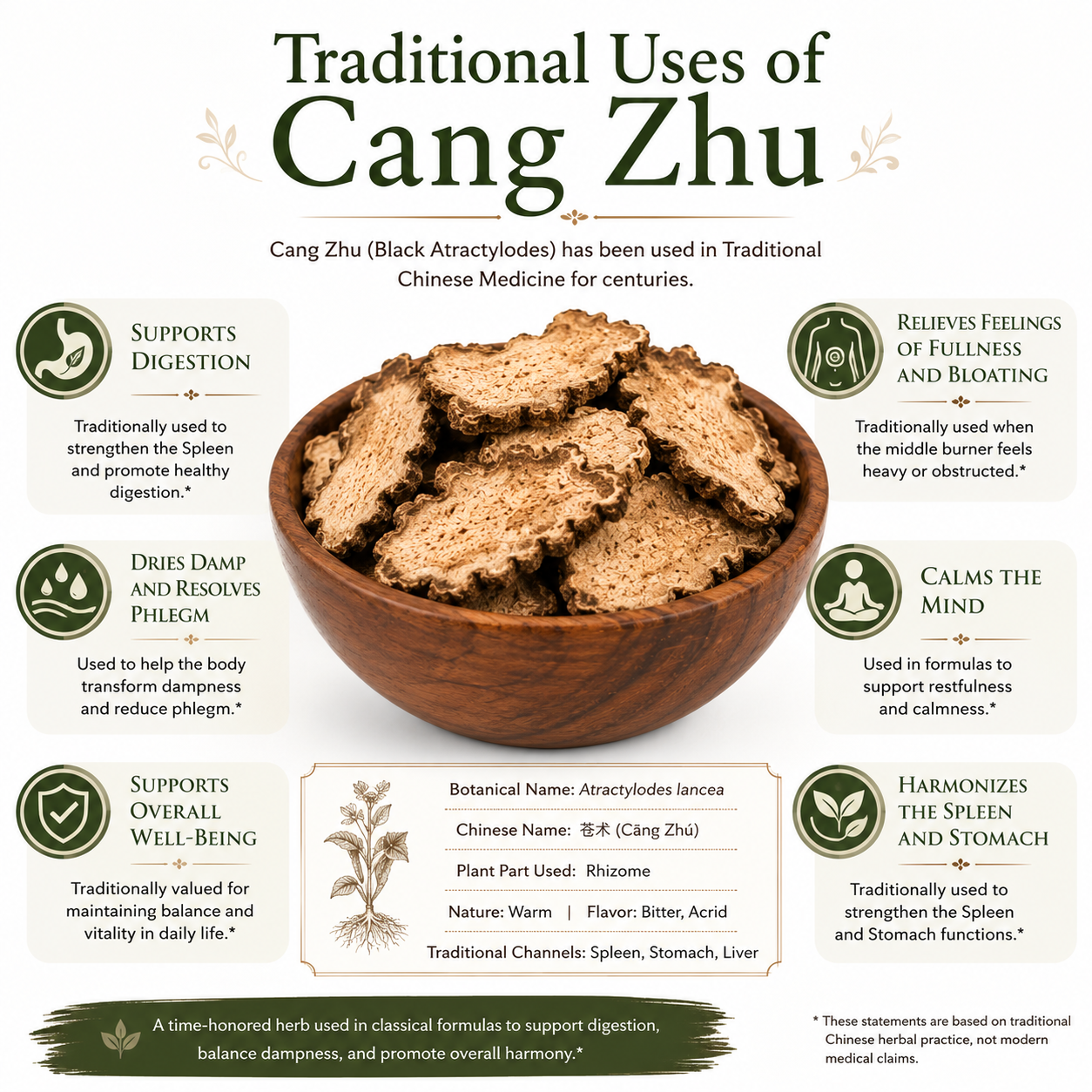 What are the traditional uses for Cang Zhu