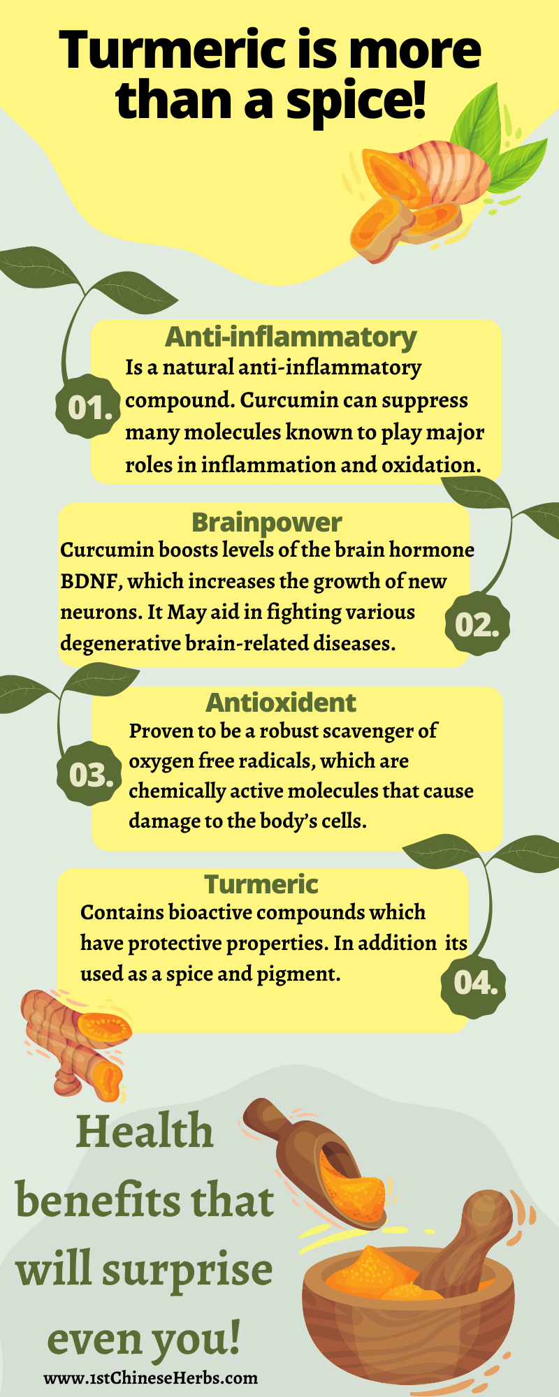 turmeric inforgraphic