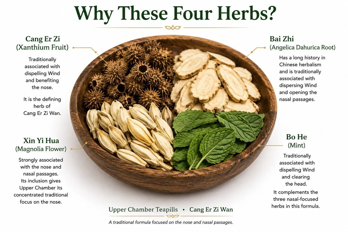 The 4 herbs in cang er zi, and their importance 