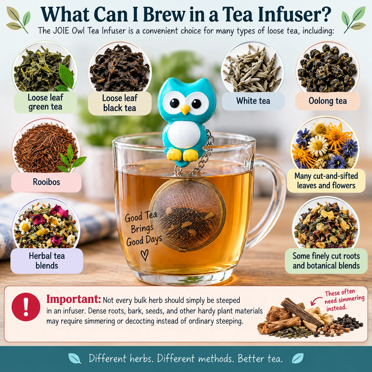 Educational infographic showing the Owl Loose Leaf Tea Infuser steeping loose tea in a mug, surrounded by examples of green tea, black tea, white tea, oolong, rooibos, herbal blends, cut leaves, flowers and finely cut botanicals. The graphic also explains that dense roots, bark and seeds may require simmering or decocting rather than ordinary steeping.