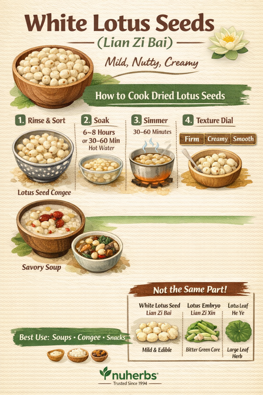 How to use White Lotus Seed 