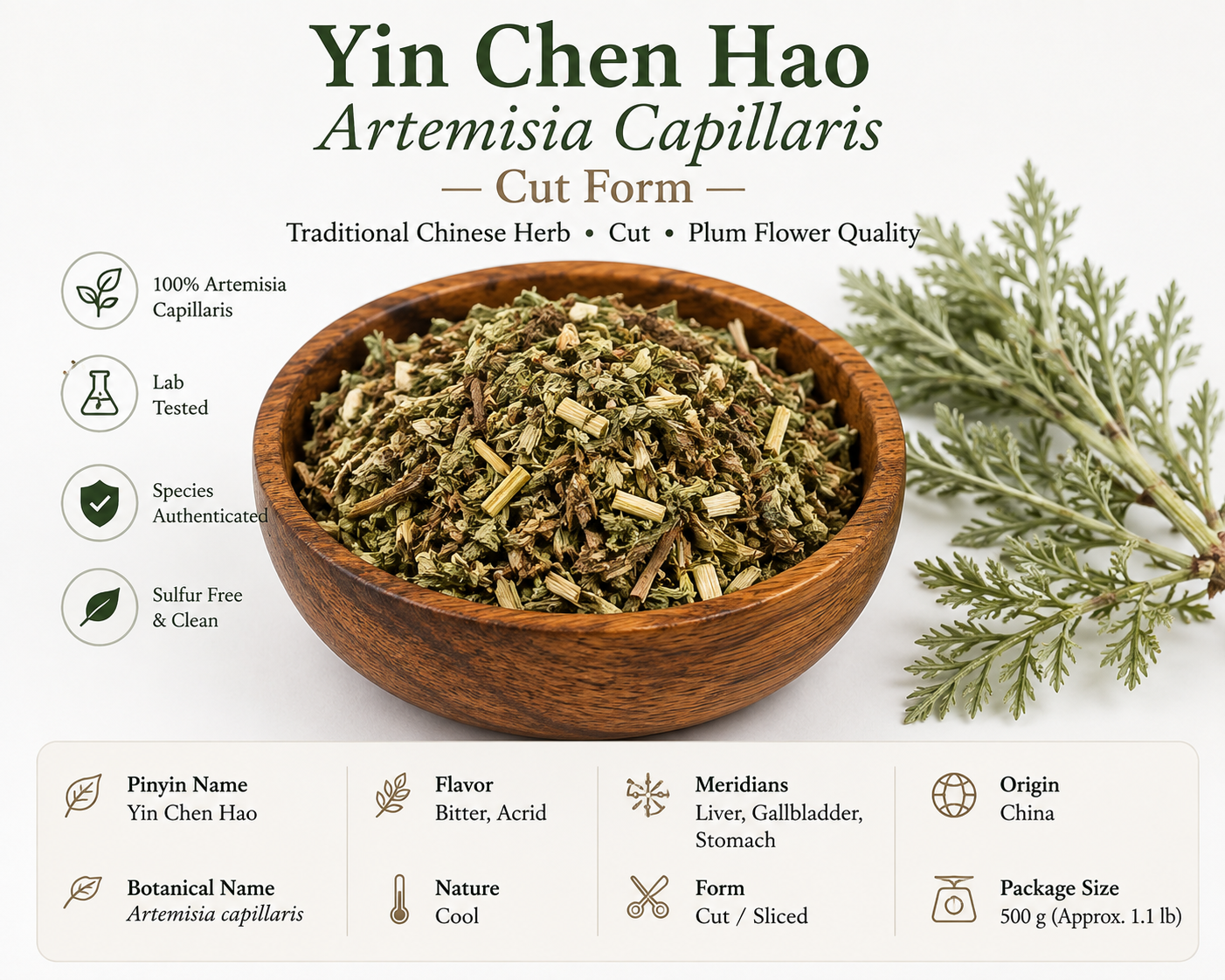 Yin Chen Hao (Artemisia capillaris) cut Chinese herb in a wooden bowl showing Plum Flower quality, botanical name, traditional properties and meridians.