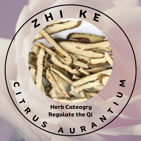 Zhi Ke (Qiao) - 1st Chinese Herbs