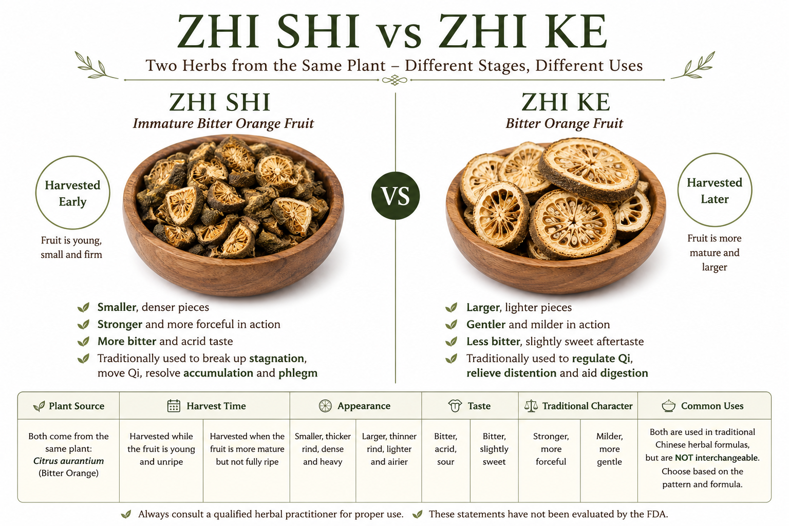 This educational graphic compares Zhi Shi (Immature Bitter Orange Fruit) and Zhi Ke (Later-Harvested Bitter Orange Fruit). It highlights their different harvest stages, appearance, and traditional roles in Chinese herbal practice, helping readers understand why these two herbs are not considered interchangeable despite coming from the same plant species.