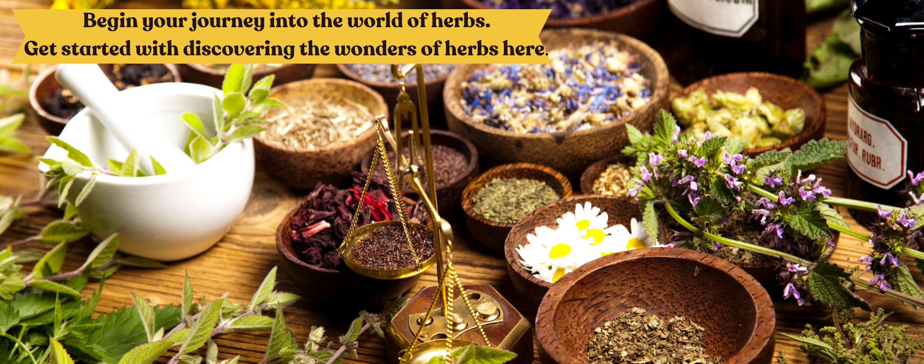 learning about herbs, how to use, what they are for, terminology, and guides 