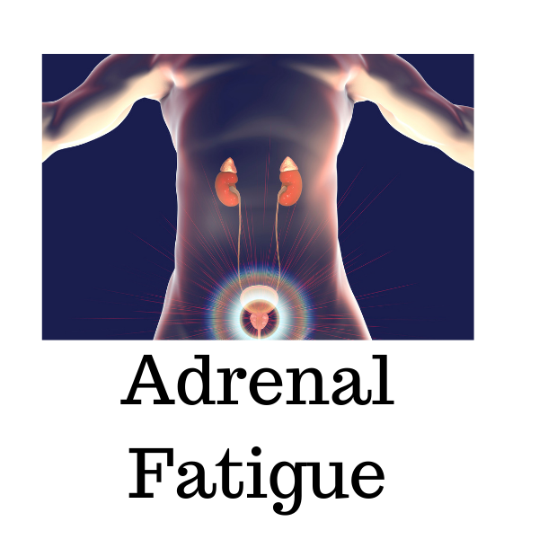 2adrenal.png