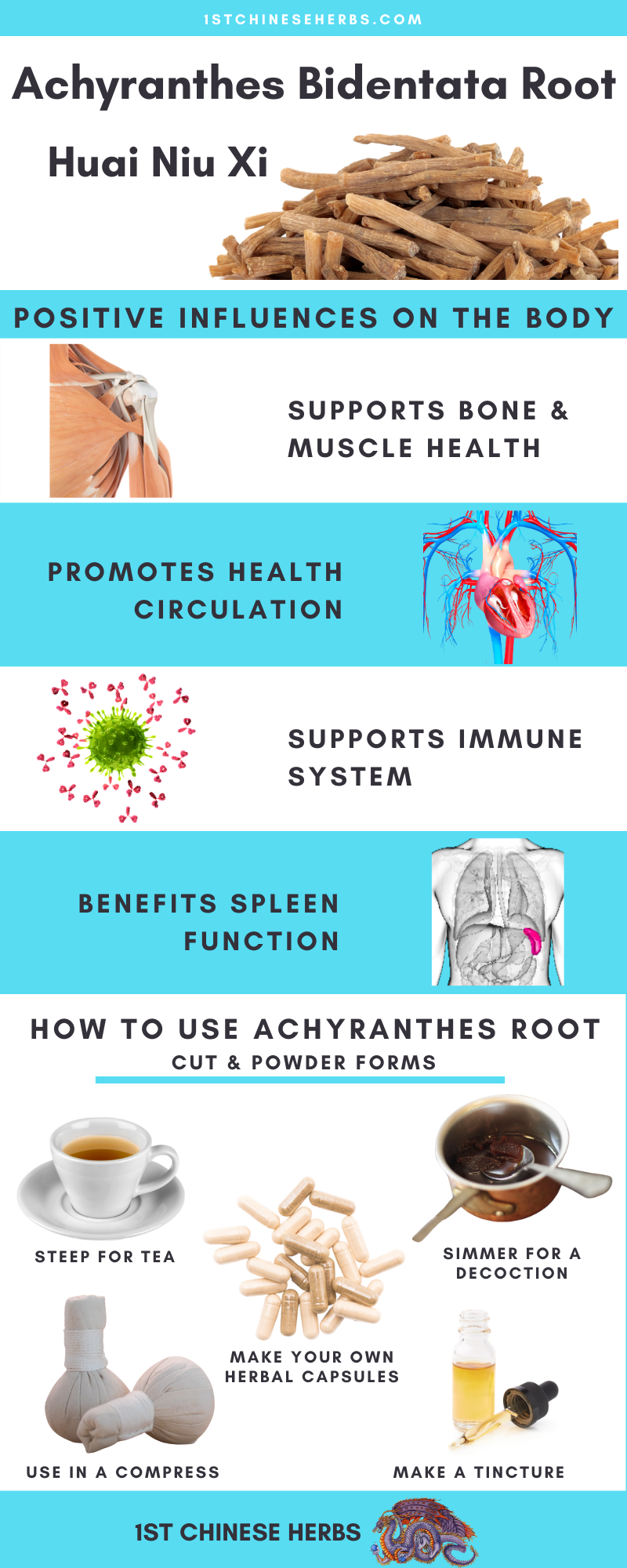 Huai Niu Xi benefits, Achyranthes bidentat root beneftis, how to use huai niu xi, how to use achyrantes Bidentata root