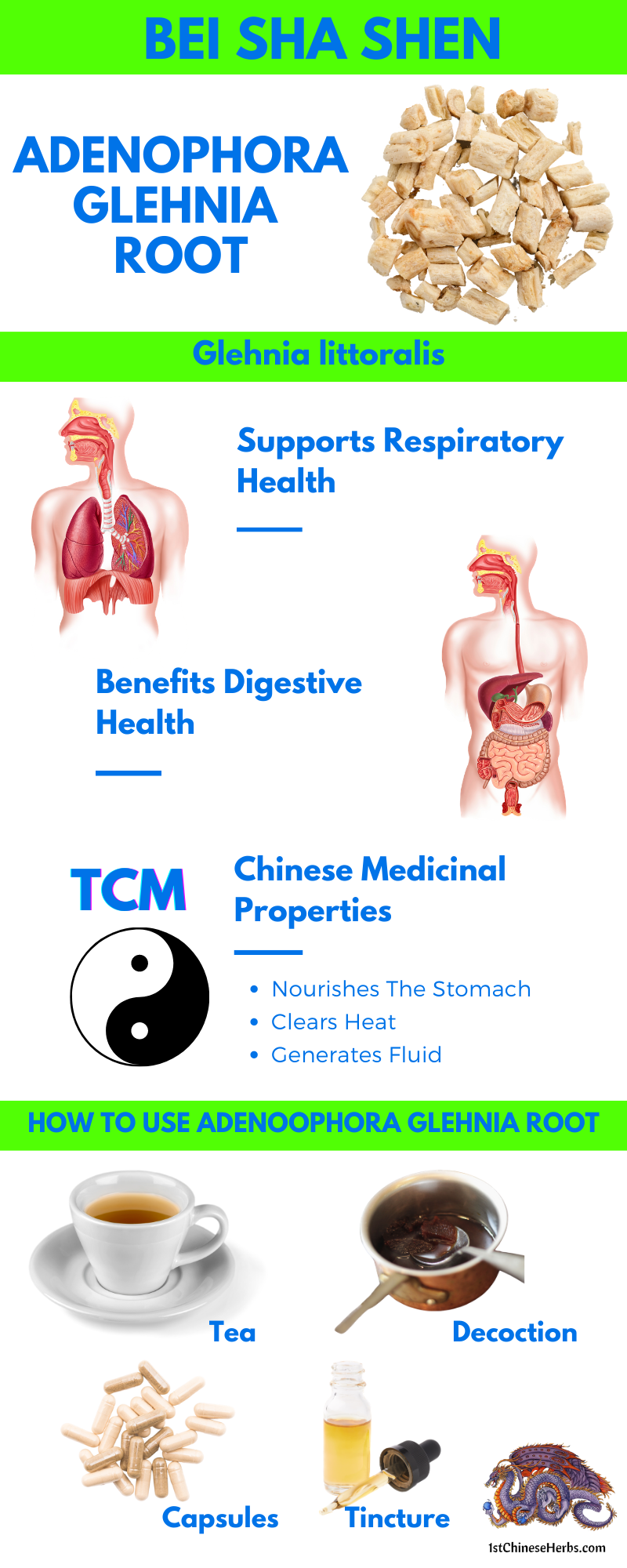 Bai sha shen benefits, using bai sha shen