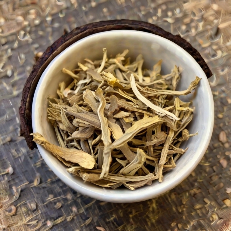 what is astragalus root, what does it look like