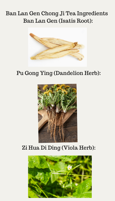 ban-lan-gen-chong-ji-tea-ingredients-ban-lan-gen-isatis-root-botanical-namebaphicacanthus-cusia-root-functions-drains-heat-resolves-fire-toxicity-cools-blood-pu-gong-ying-dandelion-herb-bota-1-.png