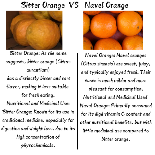 what is the difference between bitter orange and navel orange