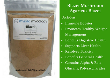 blazei mushrooms, mushroom, powder, myriad mycology, traditional bulk herbs, bulk tea, bulk herbs, teas, medicinal bulk herbs