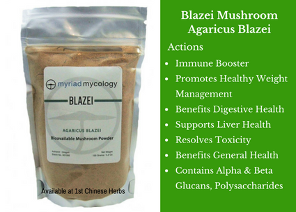 blazei mushrooms, mushroom, powder, myriad mycology, traditional bulk herbs, bulk tea, bulk herbs, teas, medicinal bulk herbs