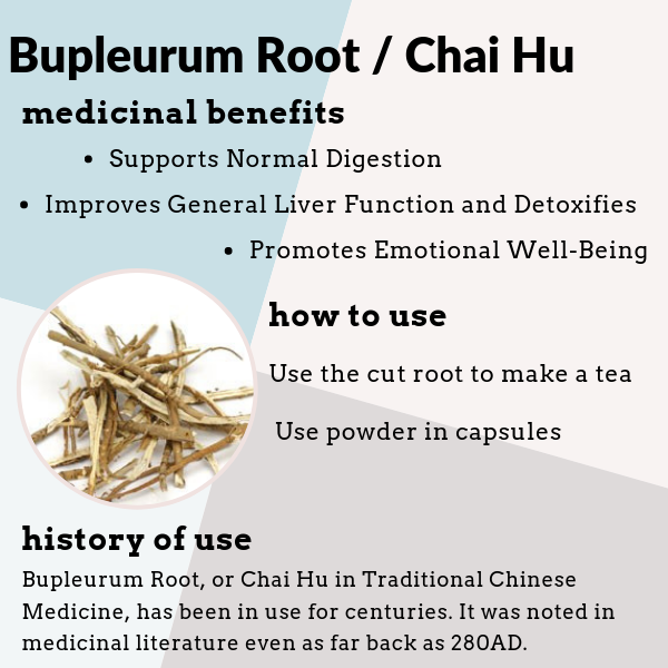 Bupleurum Root is known as Chai Hu Chinese Bupleurum and Bupleurum Chinensis. It benefits the liver, digestion, and emotional well being.