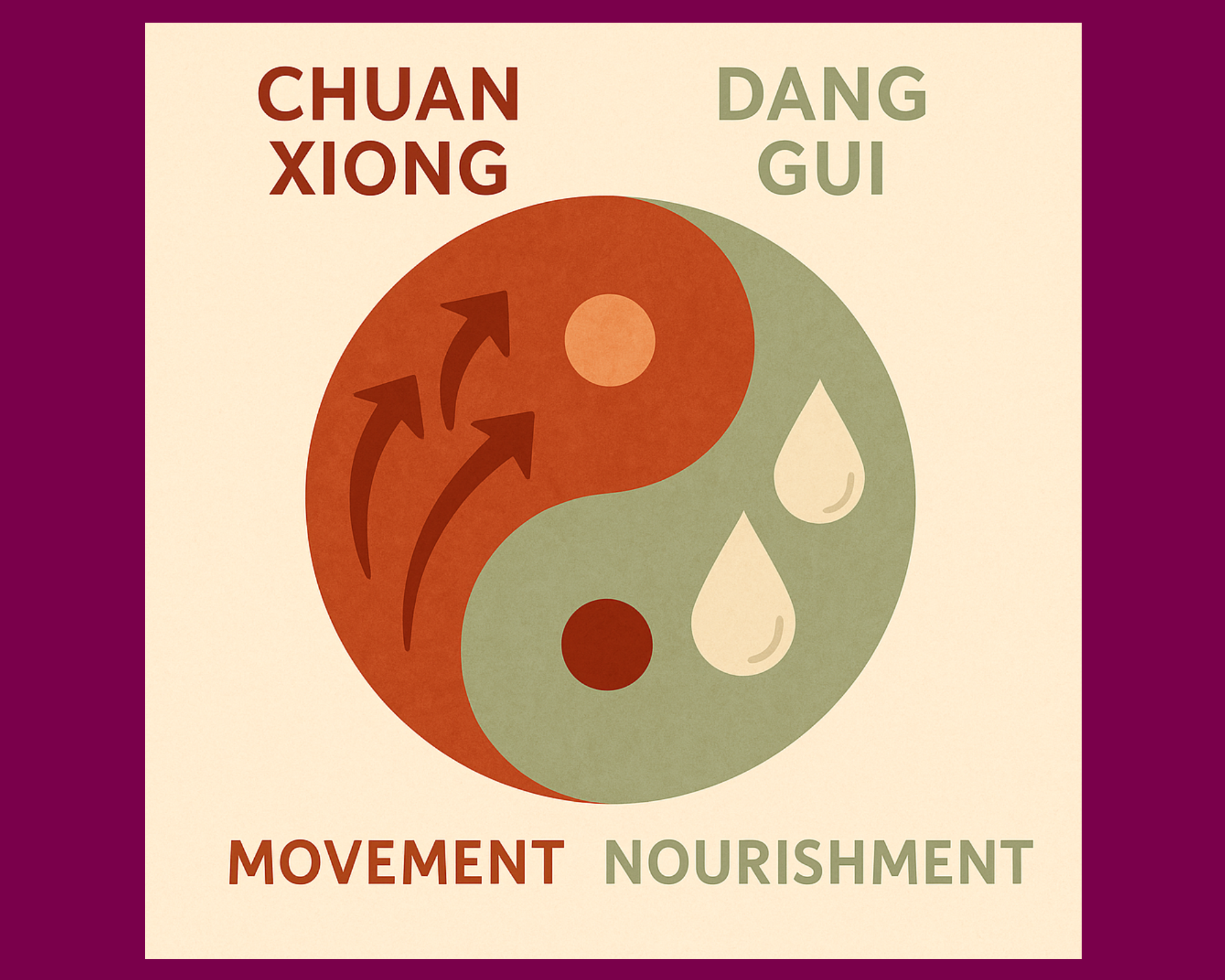 dang gui vs chuan xiong movement