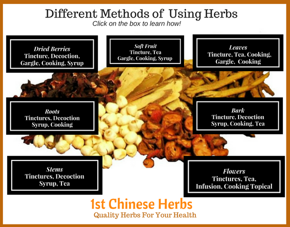 How to use Herbs - roots, leaves, berries, rhizomes, bark, seeds