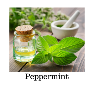 peppermint leaf for bloating