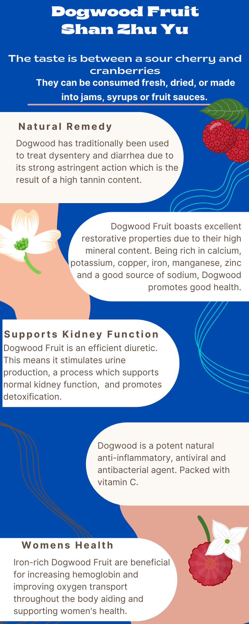 Health benefits of Dogwood Fruit, a low calorie snack. Add to smoothies, baked goods or trail mix. A healthy snack alternative. Perfect for jams and jellies.  