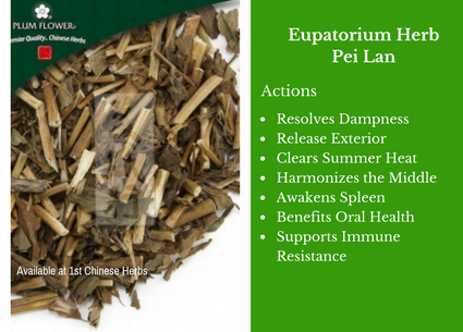 eupatorium, pei lan, traditional bulk herbs, bulk tea, bulk herbs, teas, medicinal bulk herbs