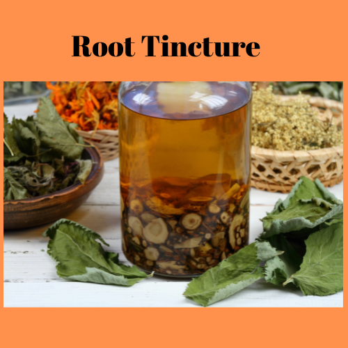 herbal tincture and roots