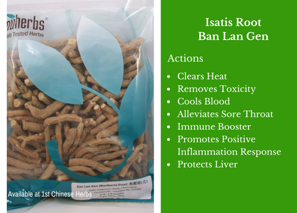 Isatis root, ban lan gen, cut, traditional bulk herbs, bulk tea, bulk herbs, teas, medicinal bulk herbs