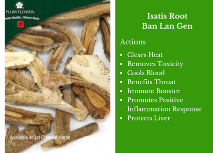 Isatis root, ban lan gen, cut, traditional bulk herbs, bulk tea, bulk herbs, teas, medicinal bulk herbs