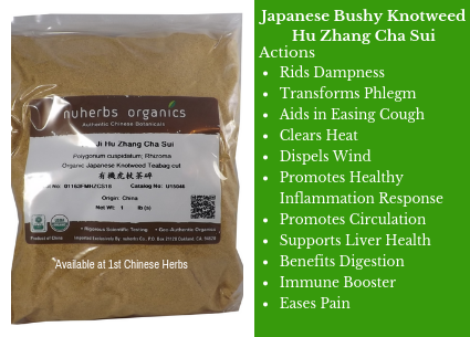 japanese bushy knotweed, Healing Lyme Disease, Herbs for Lyme disease, Buhner's protocol, why use hu zhang, benefits of bushy knotweed