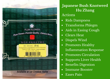 japanesebushyknotweed-huzhang-benefits-plumflower-preview.png