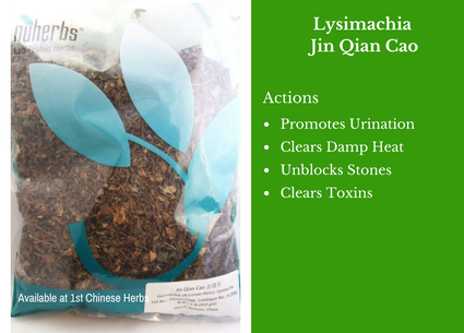 lysimachia herb, jin qian cao, lysimachia, nuherbs, traditional bulk herbs, bulk tea, bulk herbs, teas, medicinal bulk herbs