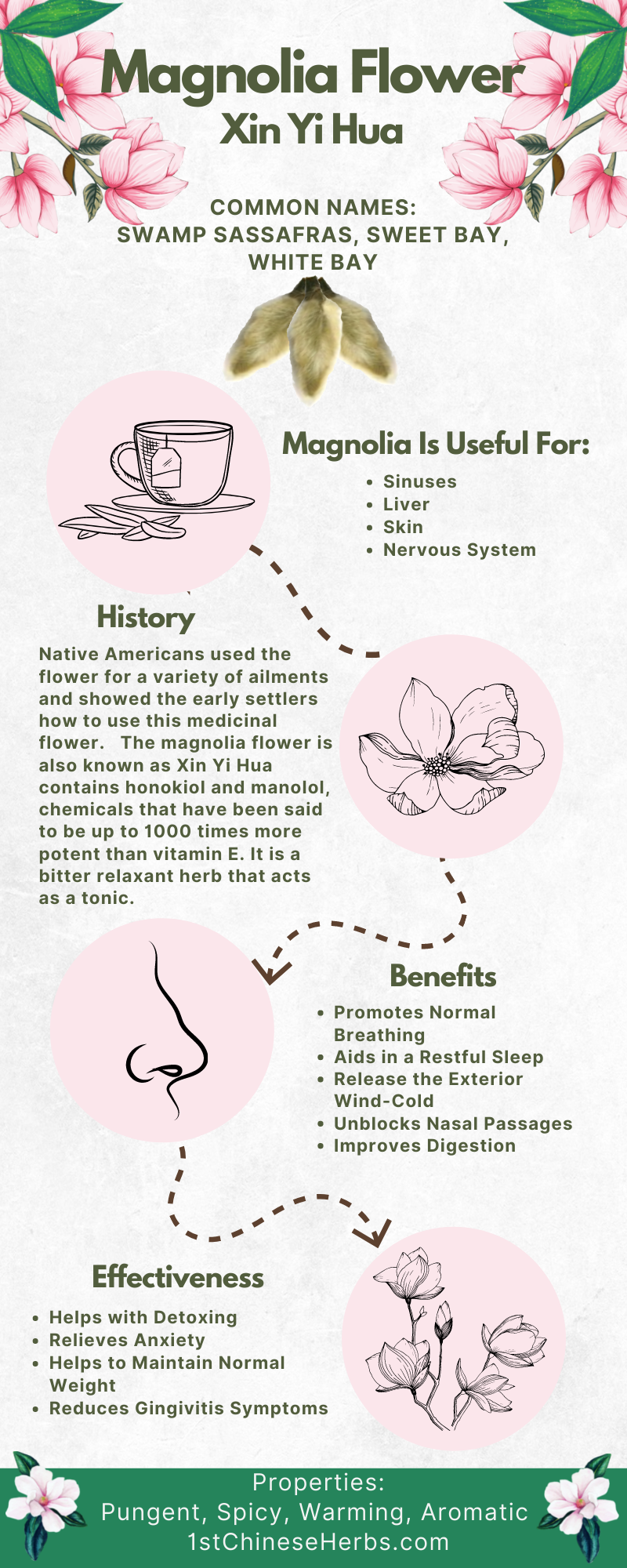 magnolia flower, how to use herbs, medicinal prosperities of magnolia flower, benefits, of magnolia flower 