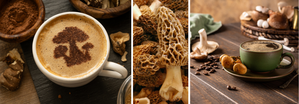 using adaptogenic herbs and mushrooms
