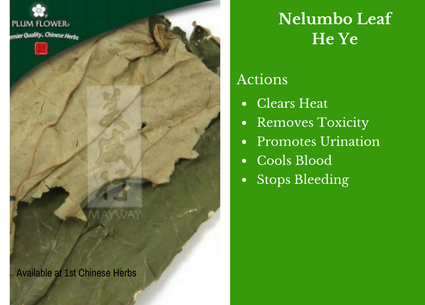 nelumbo leaf, he ye, plum flower, traditional bulk herbs, bulk tea, bulk herbs, teas, medicinal bulk herbs