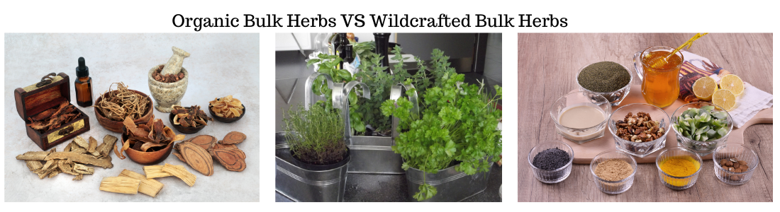 organic herbs and spices