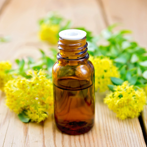 rhodiola root extract