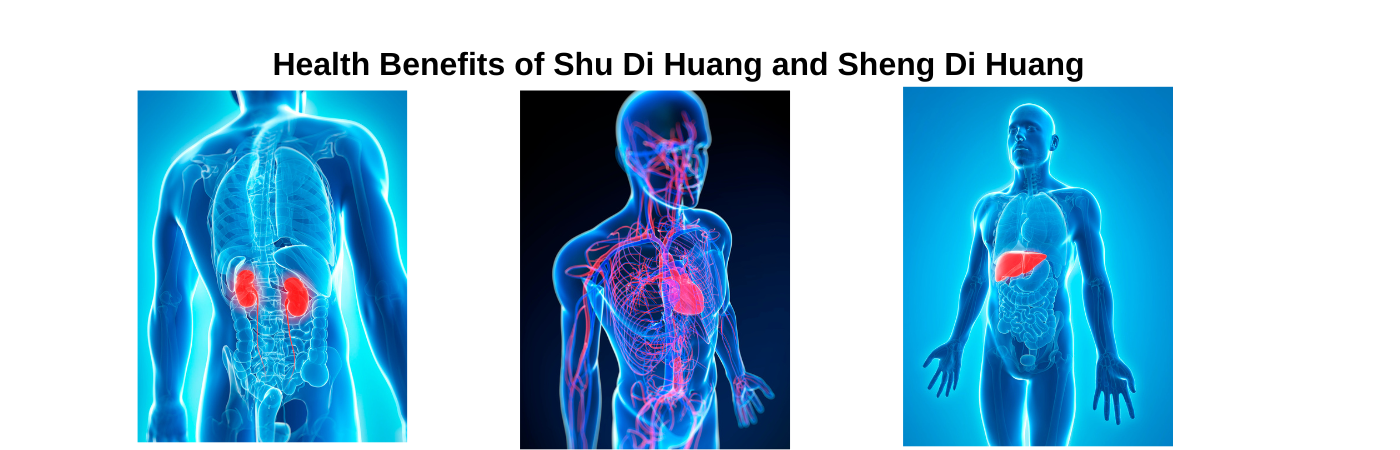 shu-and-sheng-2.png