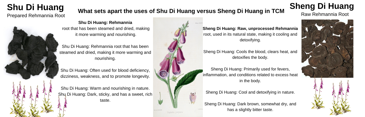 shu-and-sheng.png