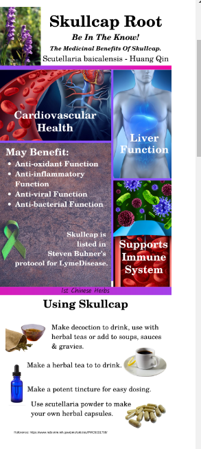 skullcap-root.png